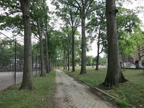 williamsbridge oval norwood bronx nyc