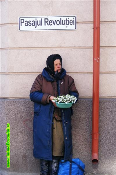 Revolutia cu ghiocei?
