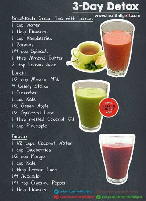 day detox   detox  apple cider vinegar food