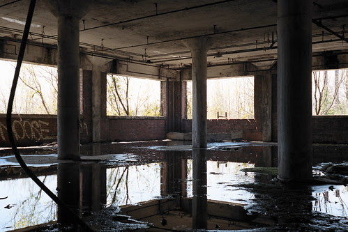Reflect