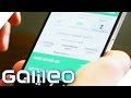 Bitqt lanz bitqt erfahrung Amöneburg Bei Privatinsolvenz Wann die in Echtzeit unter Verwendung von technischen