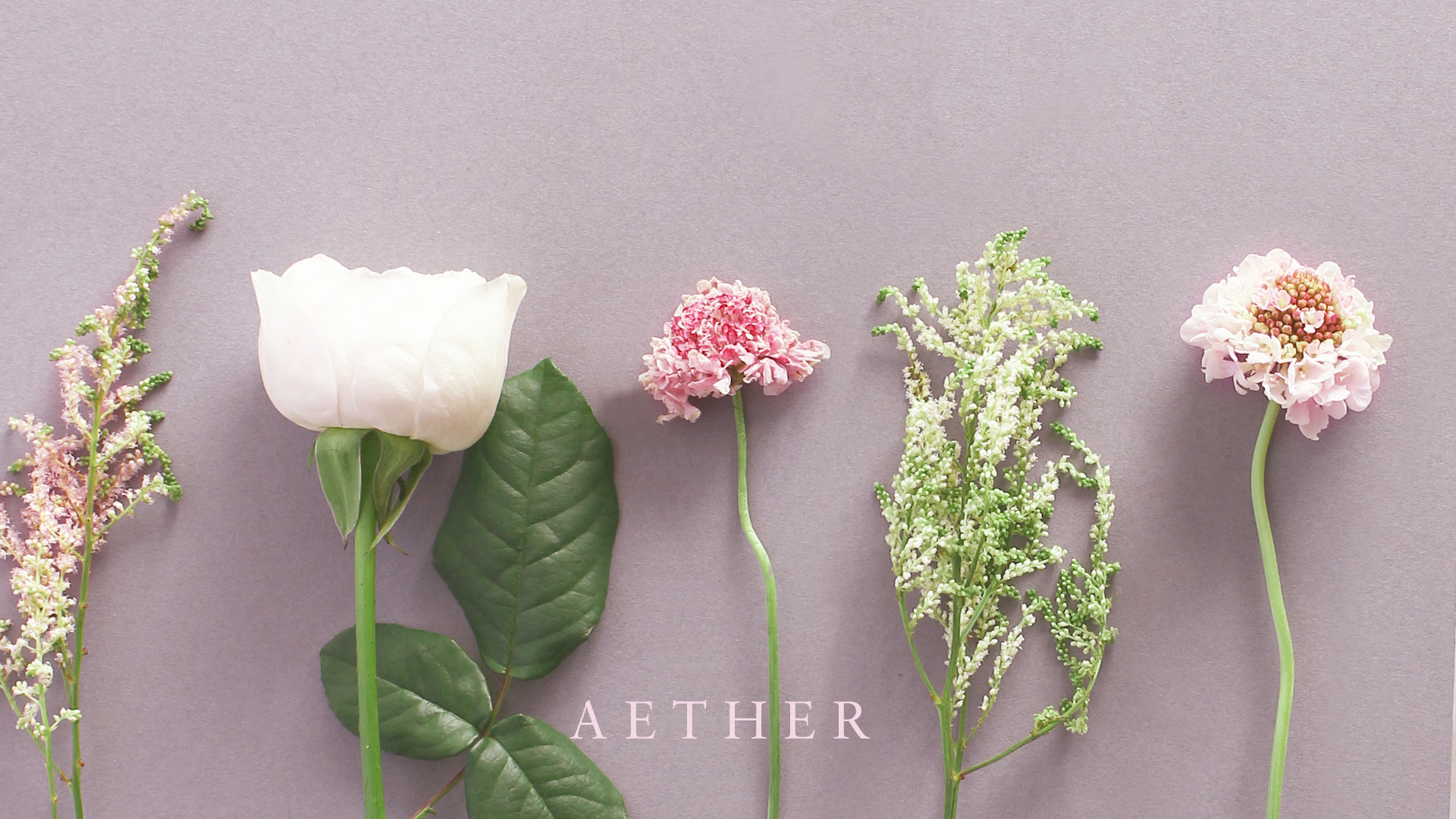 エーテルからささやかなプレゼント