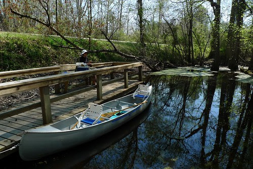 Merchants Millpond State Park - Bennett's Creek Put-in