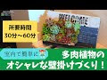 多肉 植物 壁掛け 121278-多��植物 壁掛け
