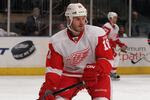 Red Wings' White Calls Bettman an 'Idiot' 