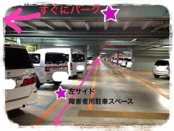 ディズニーシーとバリアフリー 障害児のママになって