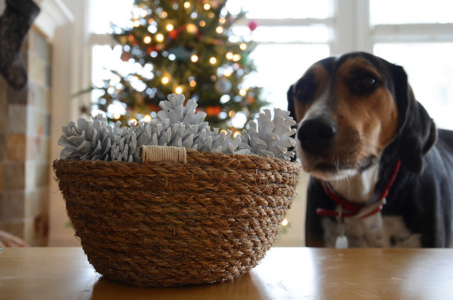 DIY rope bowl