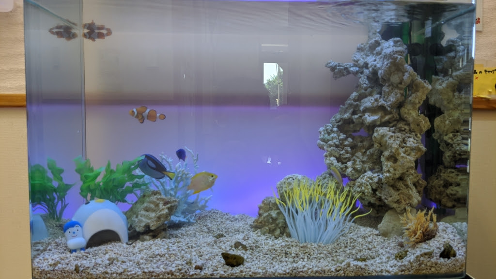 ヒーリングアクアリウムt3ブログ