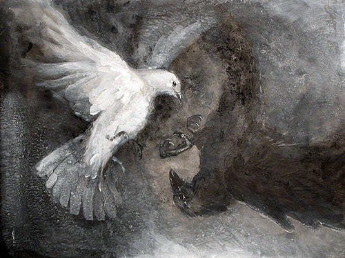 http://shalomrav.files.wordpress.com/2008/10/raven-dove.jpg?w=590