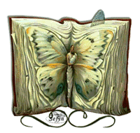 Animated Butterfly Book Pictures, Images and Photos