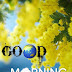 Nice Nature Flower Good Morning : Good Morning Flowers Good Morning Fun : Allena krest from new york on january 12, 2009: