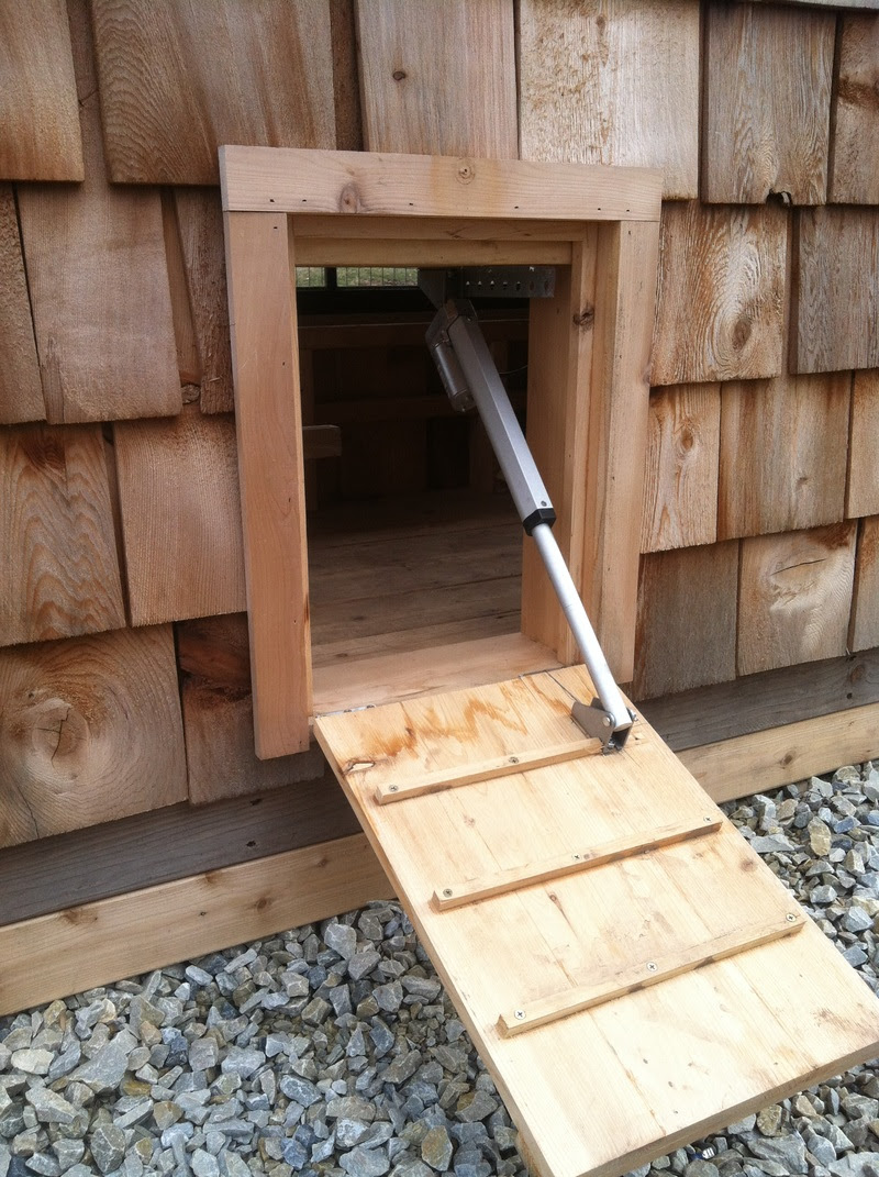 Solar-powered chicken coop door