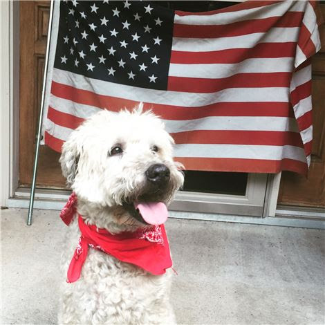 bo