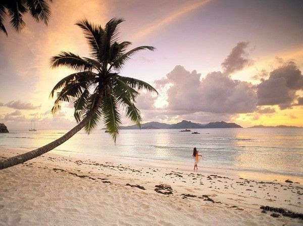 Paysage ...