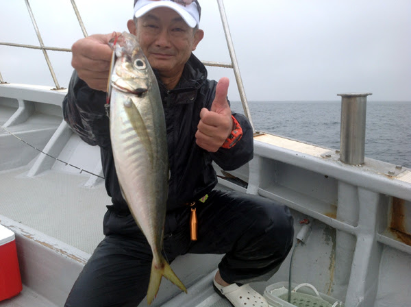 仙台湾アジ五目 ウルトラライト ジギング動画配信中 Sendai Fishing Report