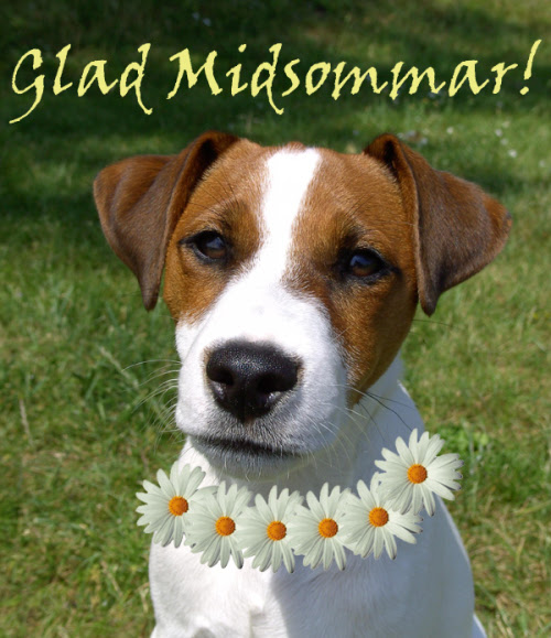 Glad midsommar