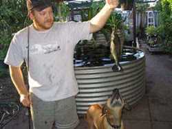 Joel was one of the earliest practitioners of aquaponics in Australia 