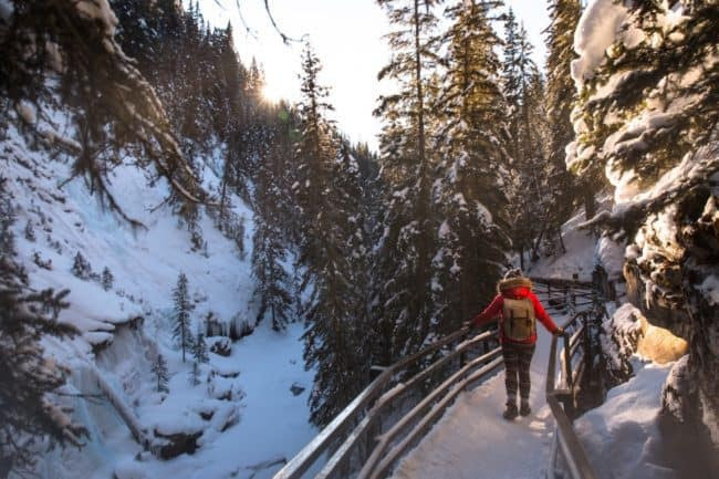 johnston canyon winter