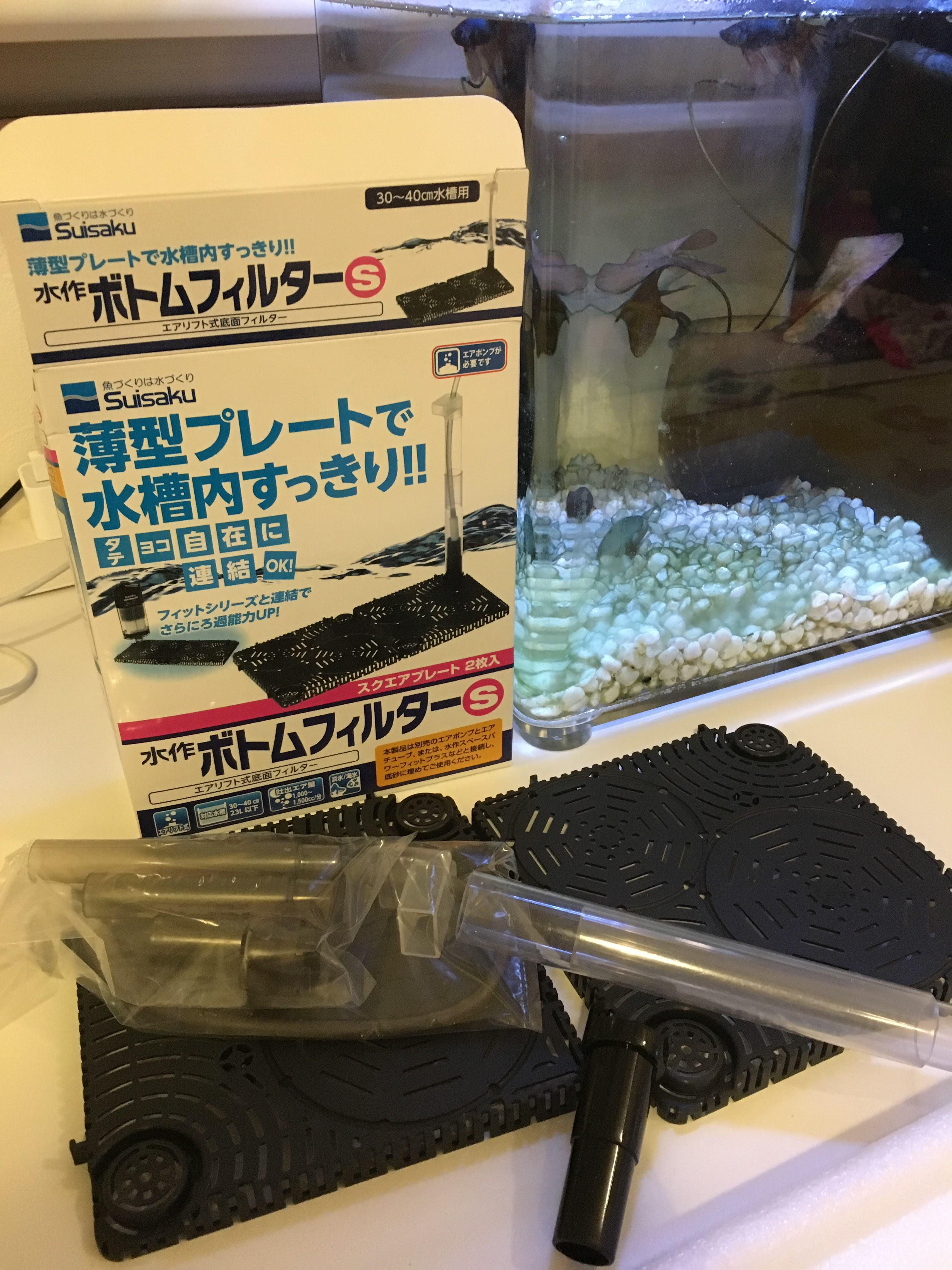ベタ水槽を底面フィルタにしました 猫心魚心