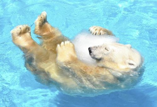 790000hit御礼企画 究極の納涼壁紙36選 携帯壁紙5傑詰め合わせ御中元