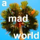 A Mad World