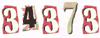 Web Page Counter
