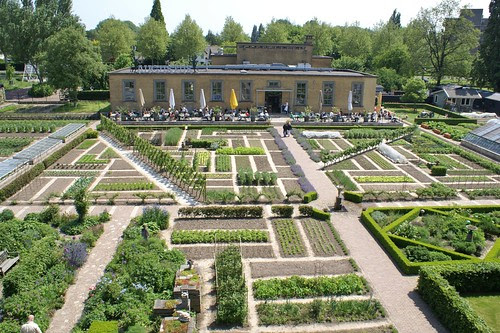 the vegetable garden