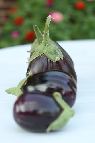 Homegrown Eggplant