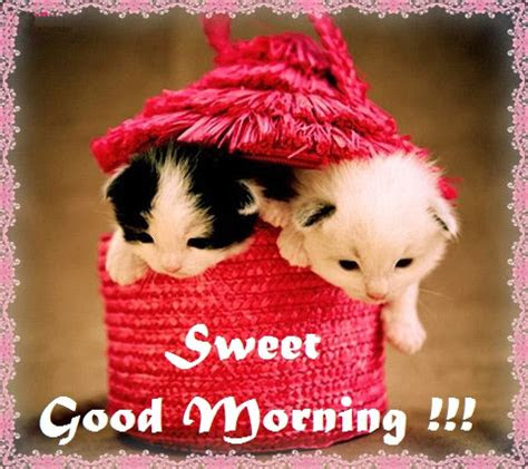 lovely good morning images quotes messages wiki