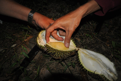 Dusun malam6