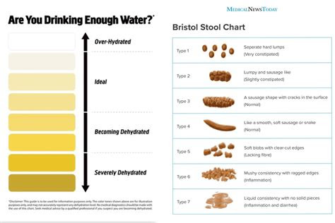 This may be caused by internal bleeding in the . bristol stool chart color stools item