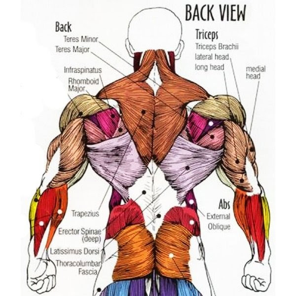 What You Can't See In The Mirror Can Hurt You - 7 Most ...