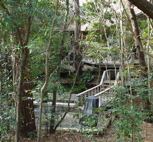 The image “http://farm3.static.flickr.com/2389/2200819782_c1184597bf.jpg?v=0” cannot be displayed, because it contains errors.