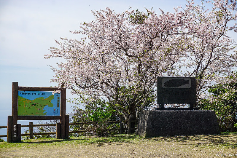 DSC03315