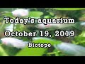 √ダウンロード メネデール 水草の活力素 339136-メネデール 水草の活力素