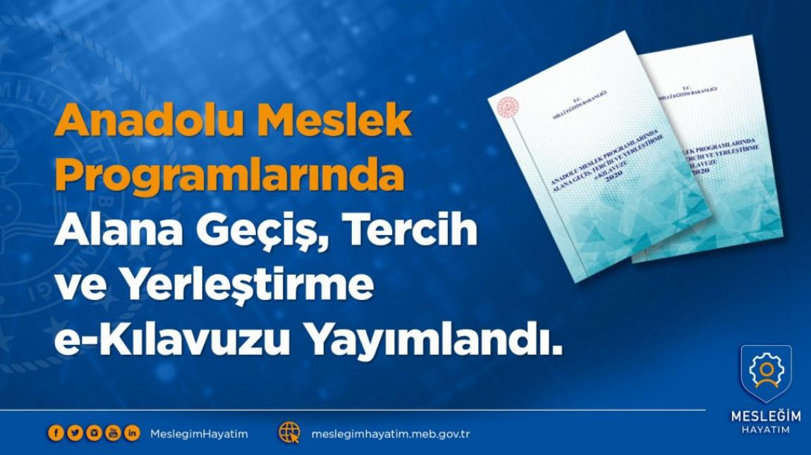 Anadolu Meslek Programlarında Alana Geçiş, Tercih ve ...