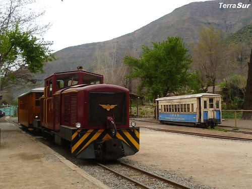 EL MELOCOTON