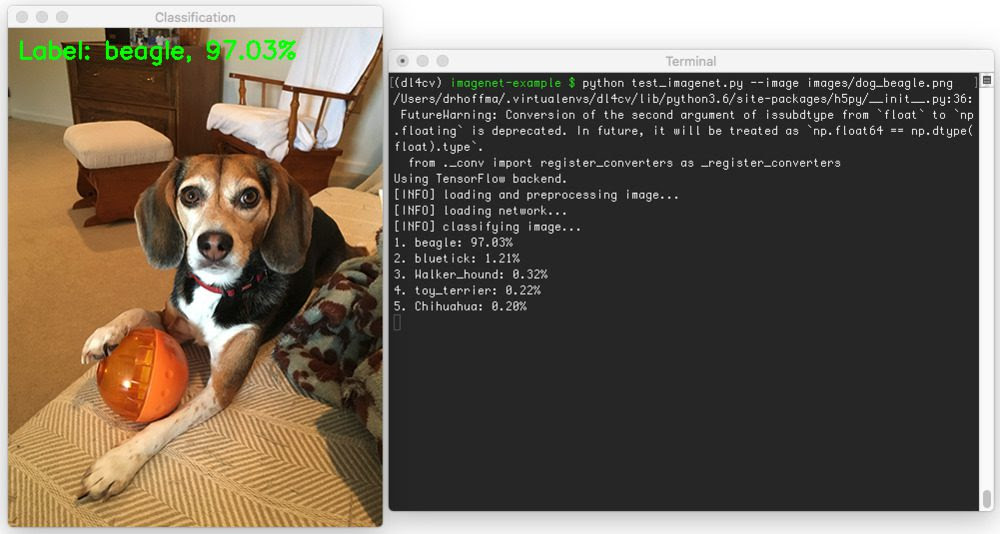 Figure 3: Utilizing the VGG16 network trained on ImageNet to recognize a beagle in an image.