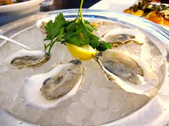 Oysters