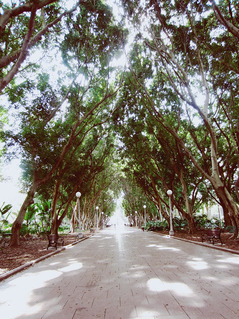 Hyde Park 