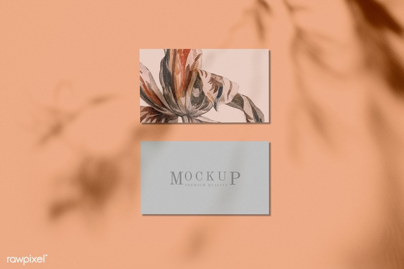 Download 8767+ Creative Business Card Mockup Free Download Popular Mockups free packaging mockups from the trusted websites.
