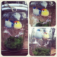 Lovebirds Diorama- a valentine gift for the girl's bff. #pinterest
