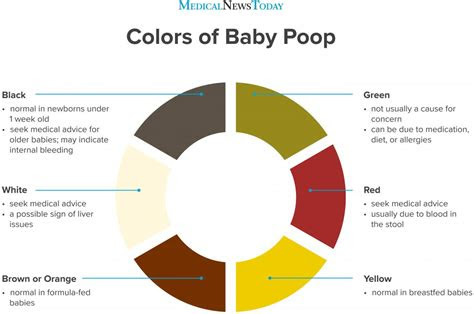 Her diaper may be full of answers. different colors of newborn poop what you need to know dixon verse