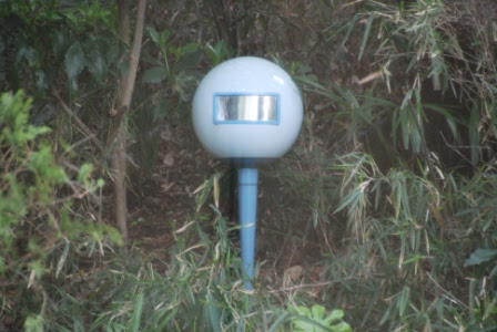 藤子 F 不二雄ミュージアム ランニングのちごはん ときどき山