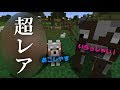 いろいろ マイクラ 猫 種類 レア 609065-マイクラ 猫 種類 レア