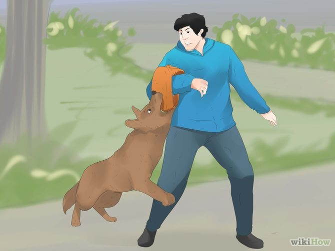 Report a Dangerous Dog Step 2 Version 2.jpg