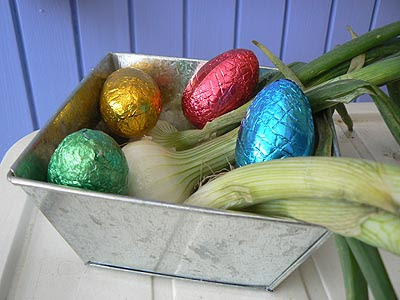 chasse aux oeufs.jpg