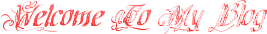Welcome  To  My  Blog