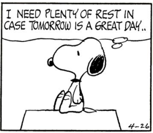 スヌーピーの英語名言集 こころに響く一言から短文まで Base81 Com