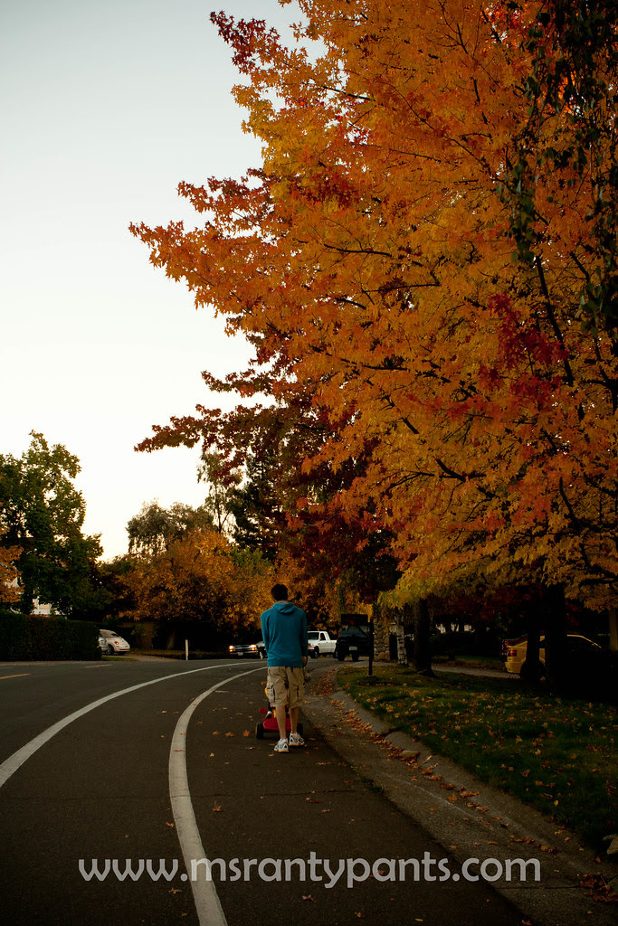 Fall Color 2010-6.jpg